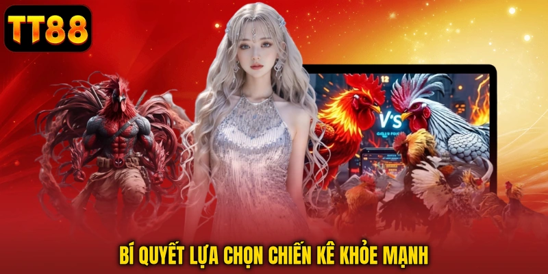 Đá Gà Trực Tiếp TT88 - Đấu Trường Đá Kê Đỉnh Cao Nhất 2026