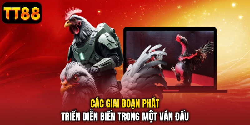 Đá Gà TT88 – Sảnh Chọi Kê Trực Tuyến Nảy Lửa Hấp Dẫn