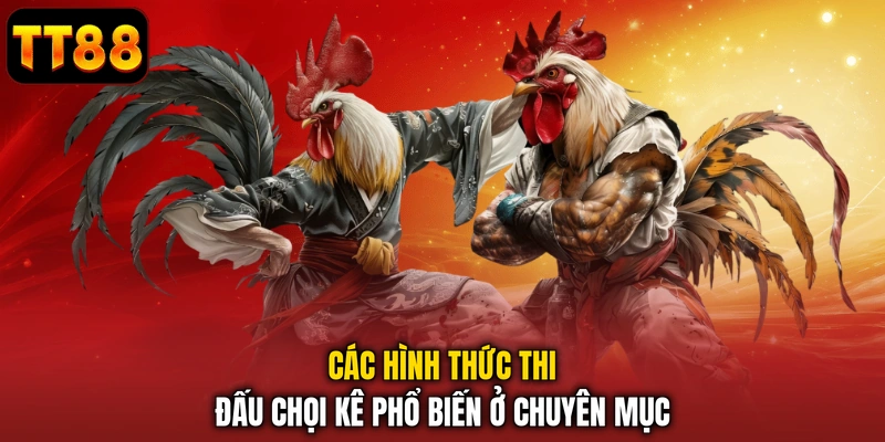 Đá Gà TT88 – Sảnh Chọi Kê Trực Tuyến Nảy Lửa Hấp Dẫn
