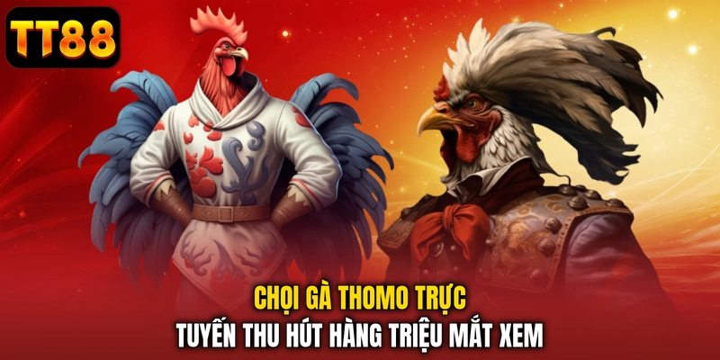 Xem Đá Gà Thomo Trực Tuyến Chuyên Nghiệp Và Hợp Pháp