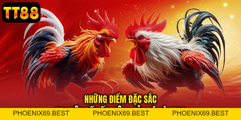 Đá Gà TT88 – Sảnh Chọi Kê Trực Tuyến Nảy Lửa Hấp Dẫn