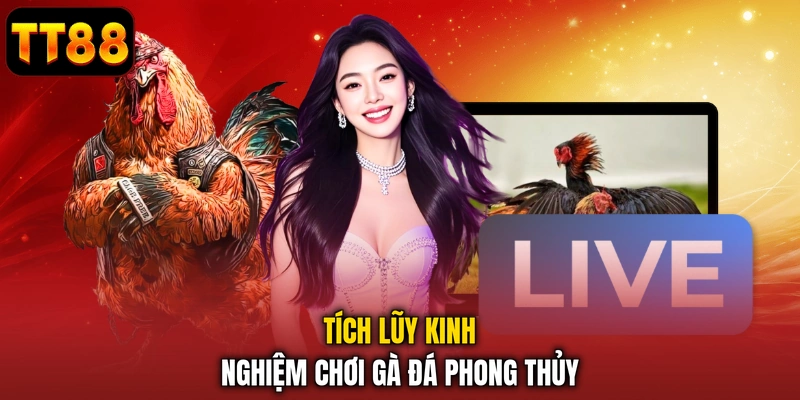 Gà Phong Thủy - Bí Quyết Chọn Chiến Kê Rước Tài Lộc TT88